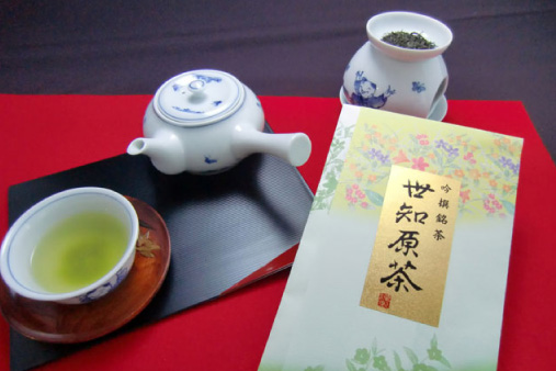 世知原茶