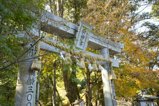 武雄神社