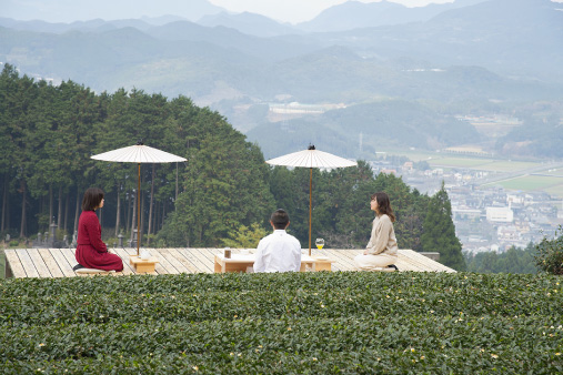 Tea Tourism